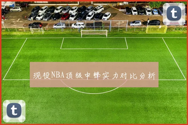 现役NBA顶级中锋实力对比分析