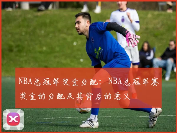 NBA总冠军奖金分配：NBA总冠军赛奖金的分配及其背后的意义